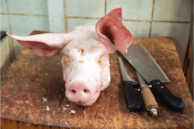 Bitcoin Scam Called ‘Pig Butchering’ Grows Alarmingly Popular