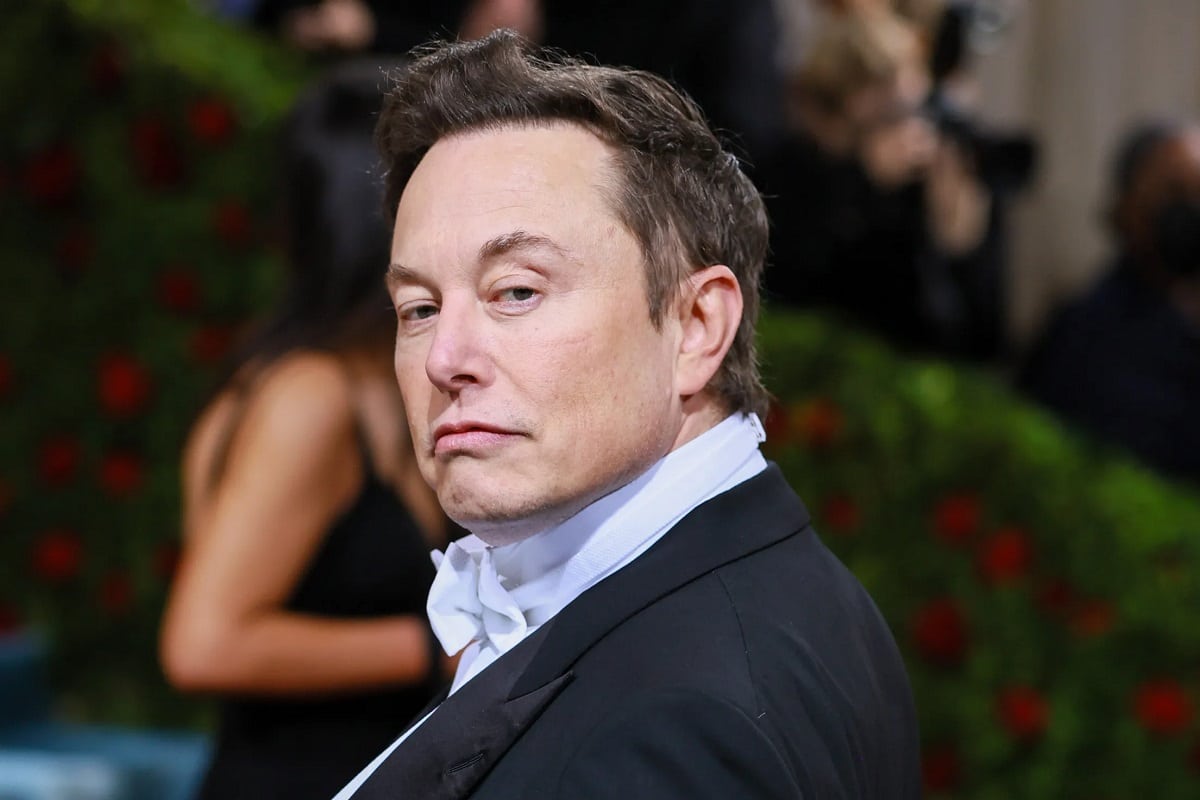 Almost 80% Deny Paying For Twitter Verification, Elon Musk Comments