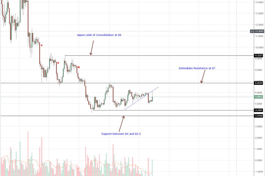 Litecoin Price Analysis: ADA Recover from 7 cents as TRX Bulls Aim At 4 cents
