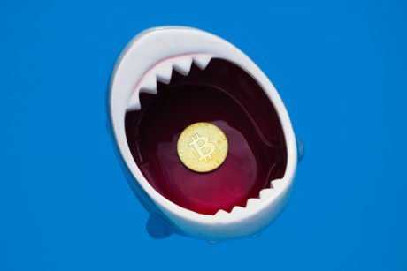 ‘Shame on You,’ Shark Tank Judge Tells Bitcoin Bull Pompliano