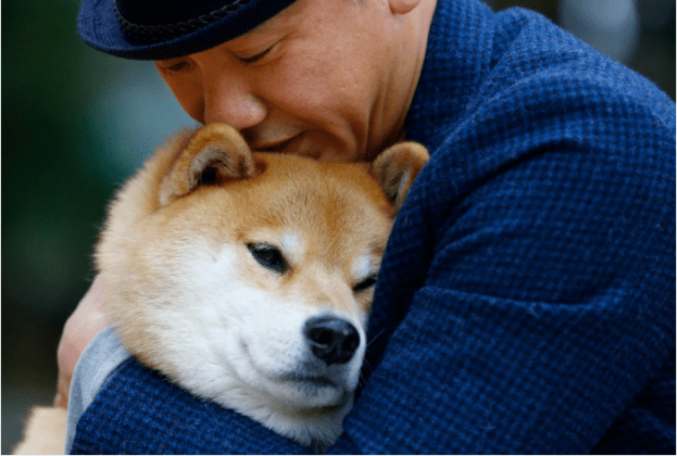 Shiba Inu Welcomes Over 100,000 Holders This Year As SHIB Tries To Ward Off The Bears