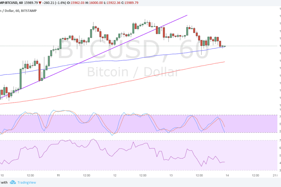Bitcoin Price Technical Analysis for 12/14/2017