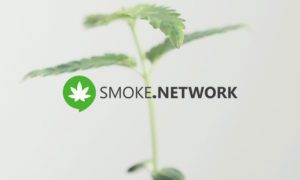 Blockchain Cannabis Social Network To End Online Cannabis Censorship