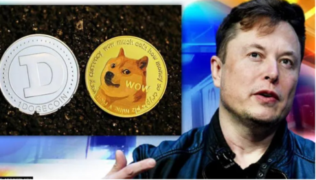 Is Elon Musk The Largest Holder Of Dogecoin (DOGE) With 28.52% Of Supply?